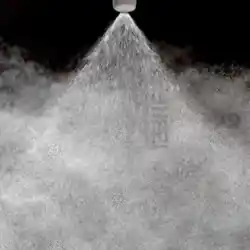 Απεντόμωση για ψύλλους απεντόμωση ψύλλων στην Αθήνα σε σπίτια και πολυκατοικίες